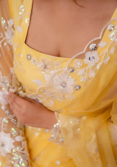 Sunehri Nazakat – Yellow Net Embroidered Anarkali Set