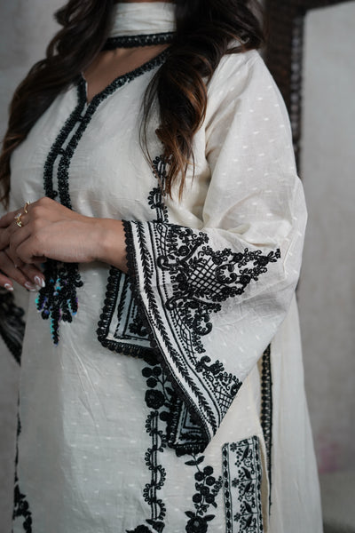 Kashida Kurta Set